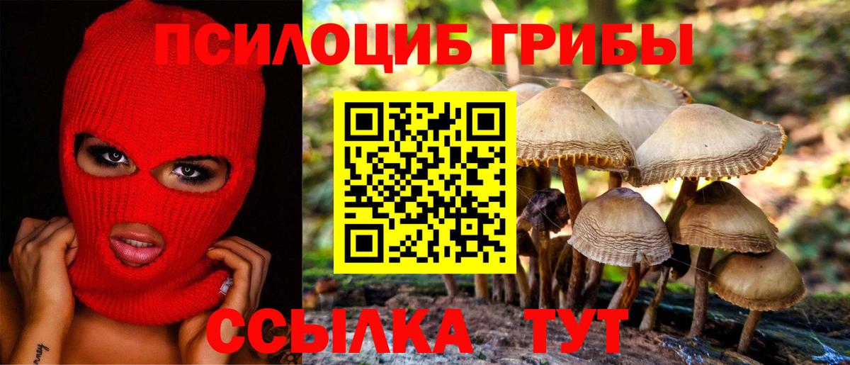 Туймазы  Псилоцибиновые грибы Psilocybe  Вход с VPN 